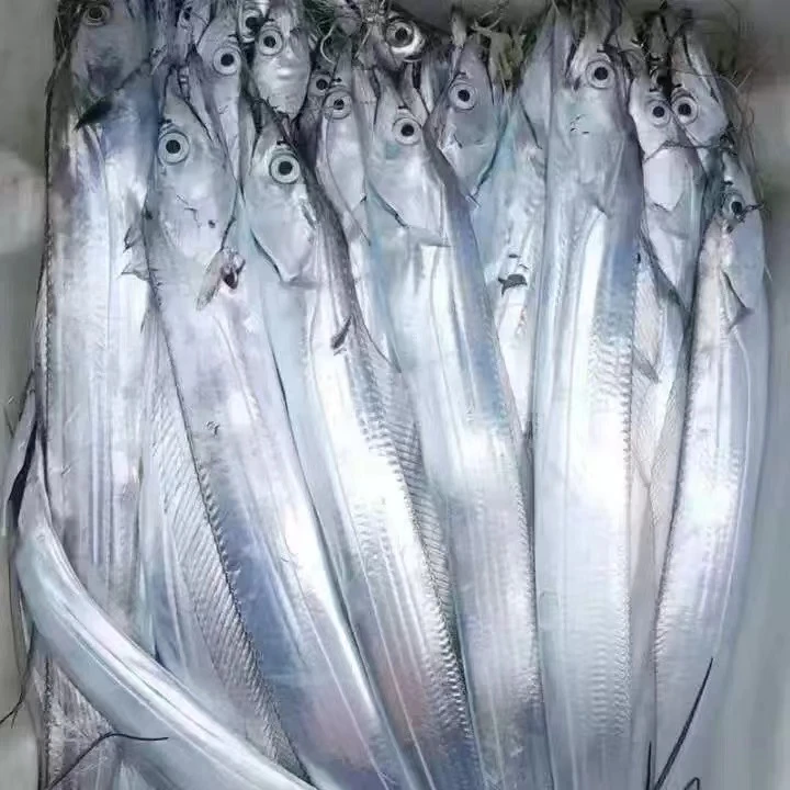 野生海捕黑眼油带鱼【单条重160g-210g】(12-14条)共5斤鲜鱼速冻发