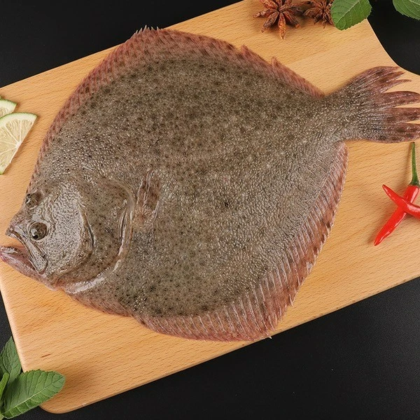 新鲜中大号多宝鱼5斤装（6-8两一条），青岛顺丰速冻锁鲜发货