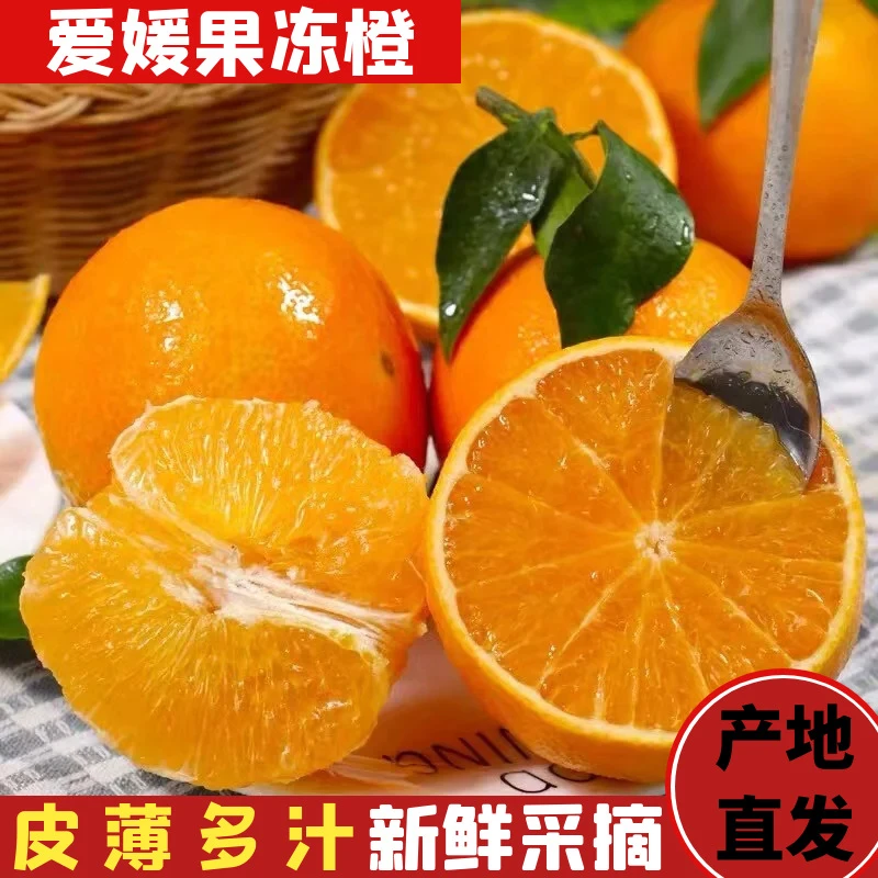 四川爱媛38号果冻橙新鲜现采现摘当季水果皮薄多汁香甜带箱5斤