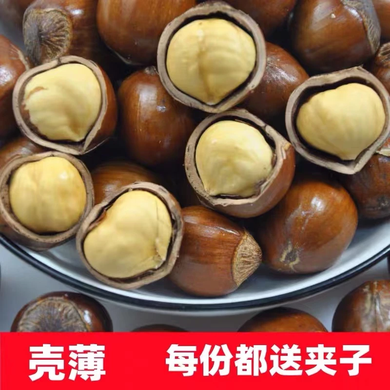 （达人专属1）新货东北炒熟大榛子原味薄皮营养2/4斤包邮送钳子