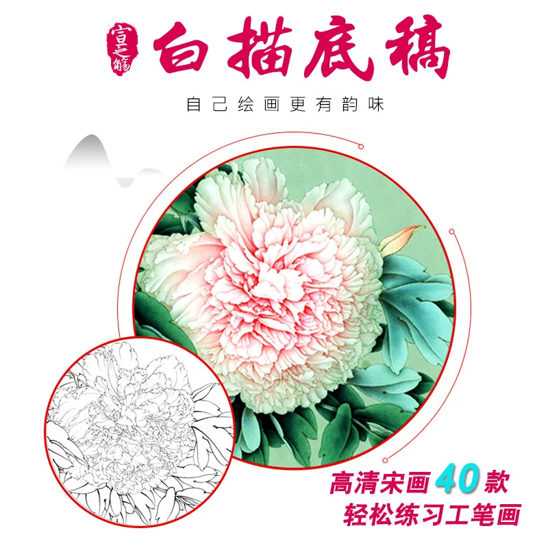 初学工笔画国画白描底稿花鸟熟宣纸斗方熟宣牡丹上色40款不同底稿