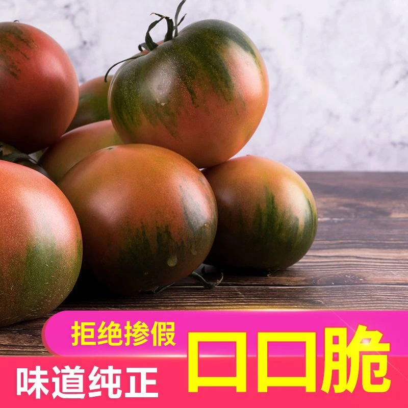 黑龙江铁皮柿子碱地柿子草莓西红柿东北水果生吃新鲜番茄自然成熟