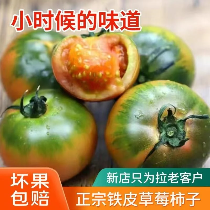 正宗东北草莓铁皮西红柿新鲜水果番茄自然熟草莓番茄碱地铁皮柿子