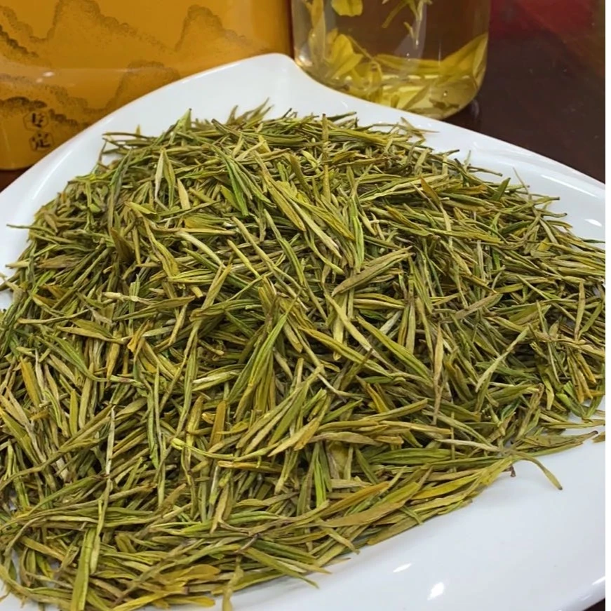 2024正宗黄金芽原产地黄金芽