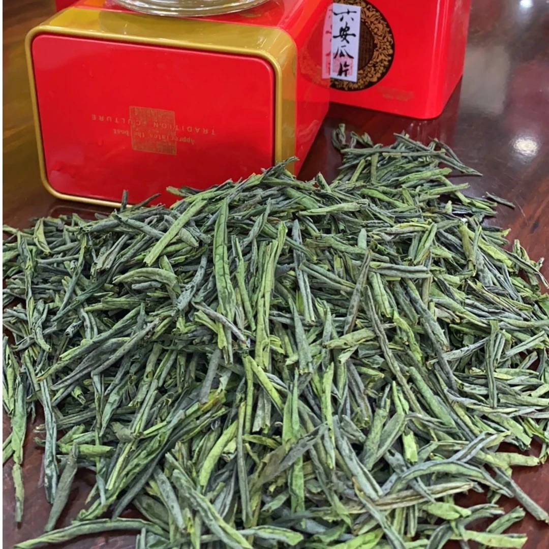 2025六安瓜片雨后