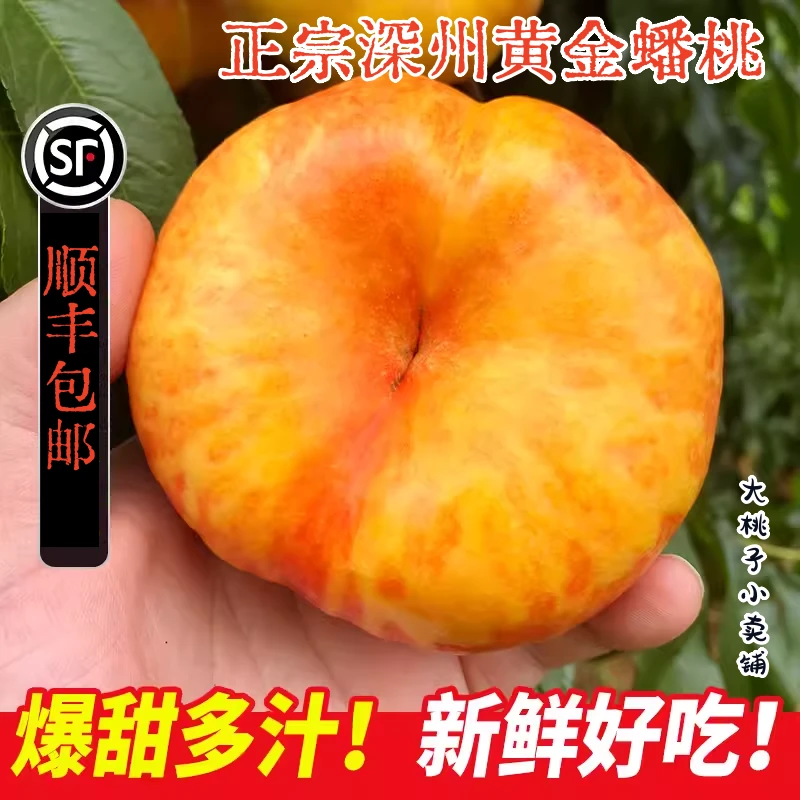 顺丰送礼佳品深州蜜蟠黄金蟠桃彩虹蟠桃水蜜桃超甜产地直发包邮
