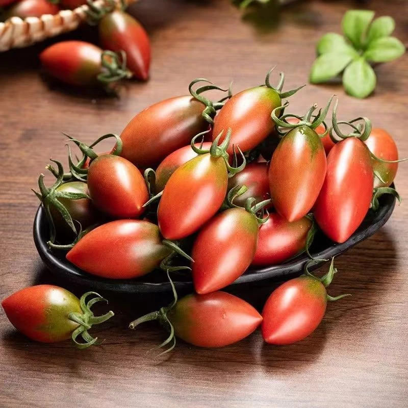 紫弹头小番茄黄色圣女果新鲜樱桃西红柿孕妇水果蔬菜酸甜多汁美味