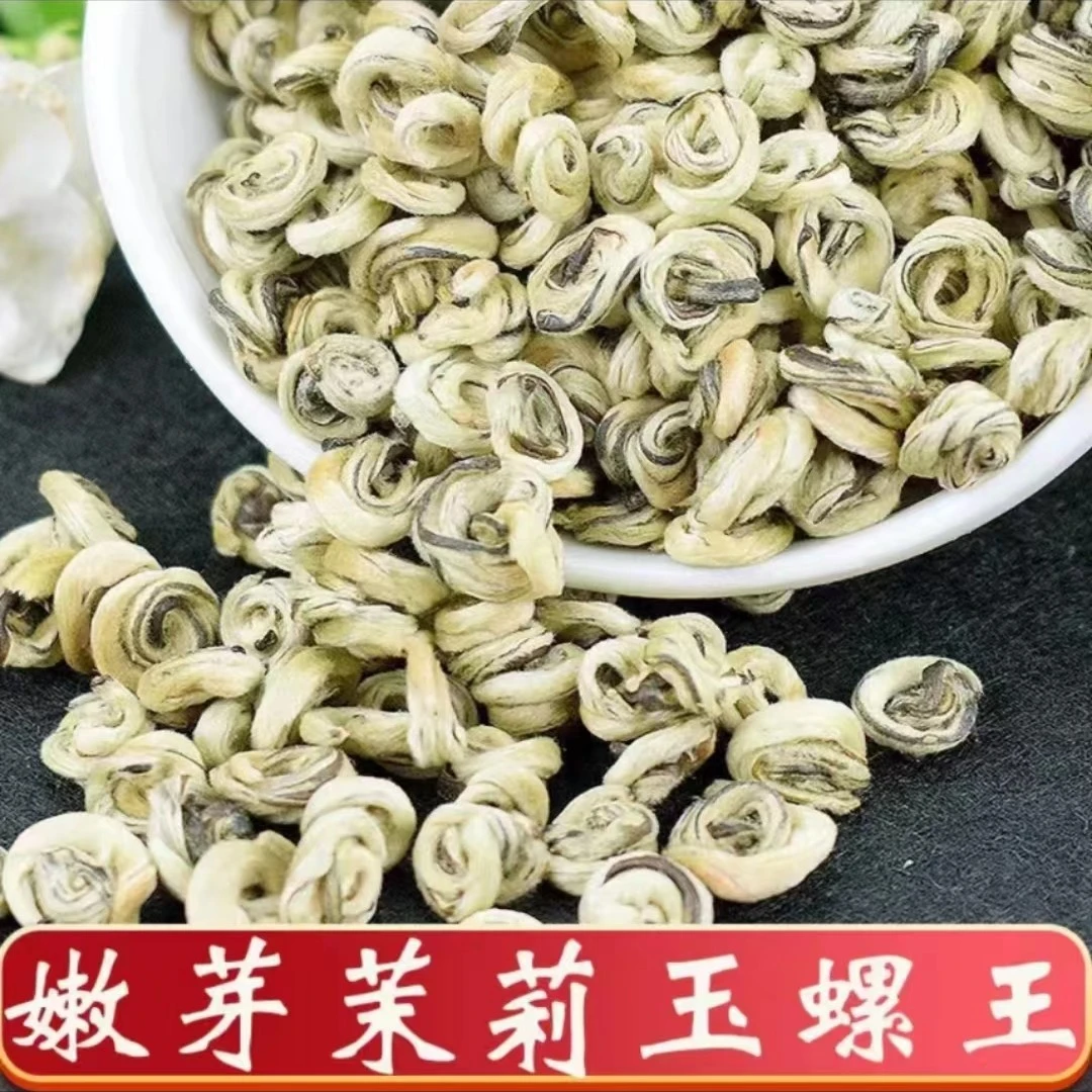 24年新茶茉莉花横县白玉螺王