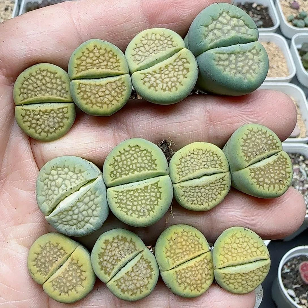 670福利福利福利