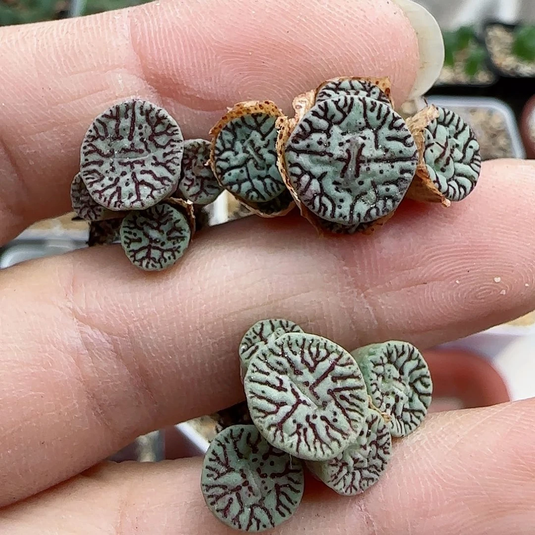 580福利墨福利墨