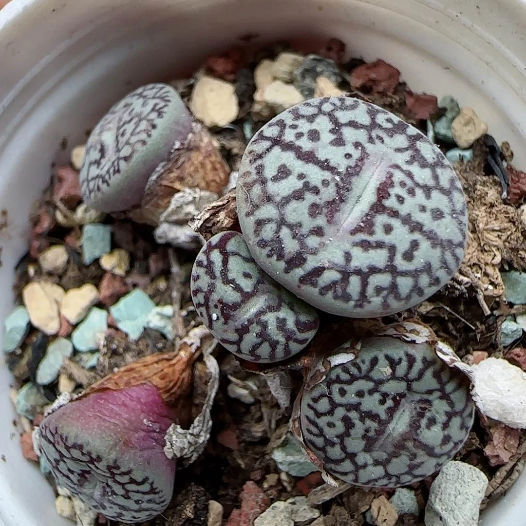 284福利福利福利