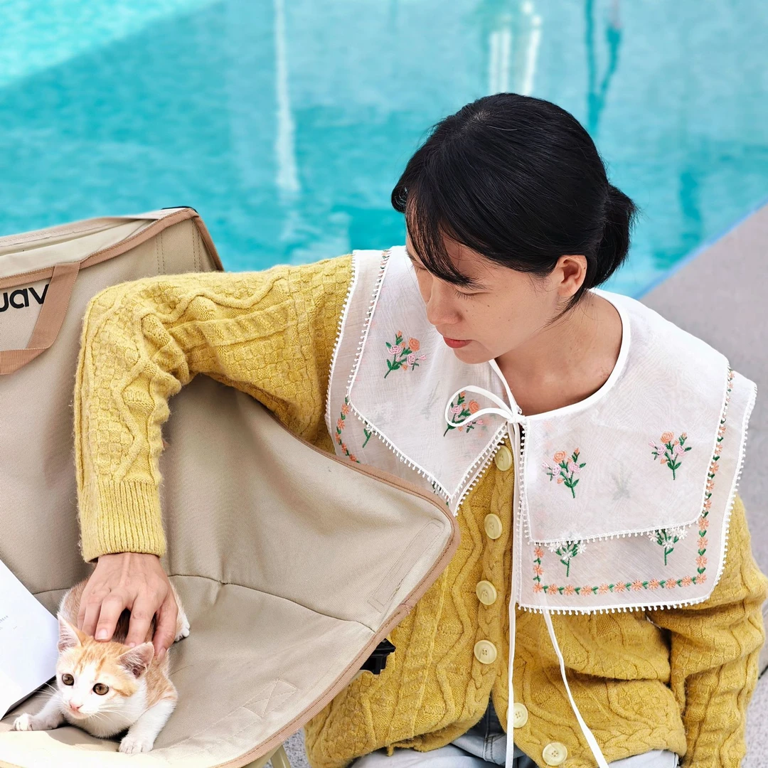 2945 同季新款欧根纱毛衣双层花边刺绣百搭大娃娃领披肩假领子