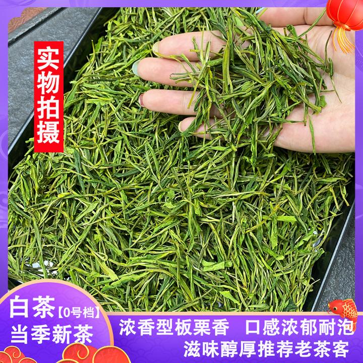 【一斤爆款白茶】当季新茶浓香型绿茶高山原产地口粮茶罐装茶叶推荐