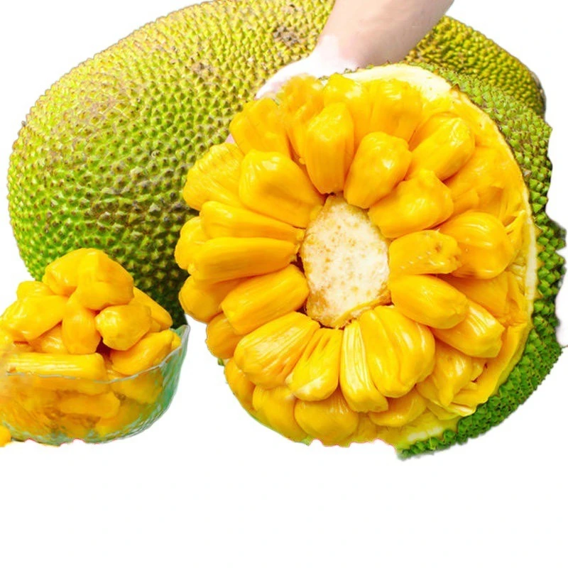 海南热带水果海口发货宝宝口感香甜新鲜采摘慢慢香味果园食用包邮