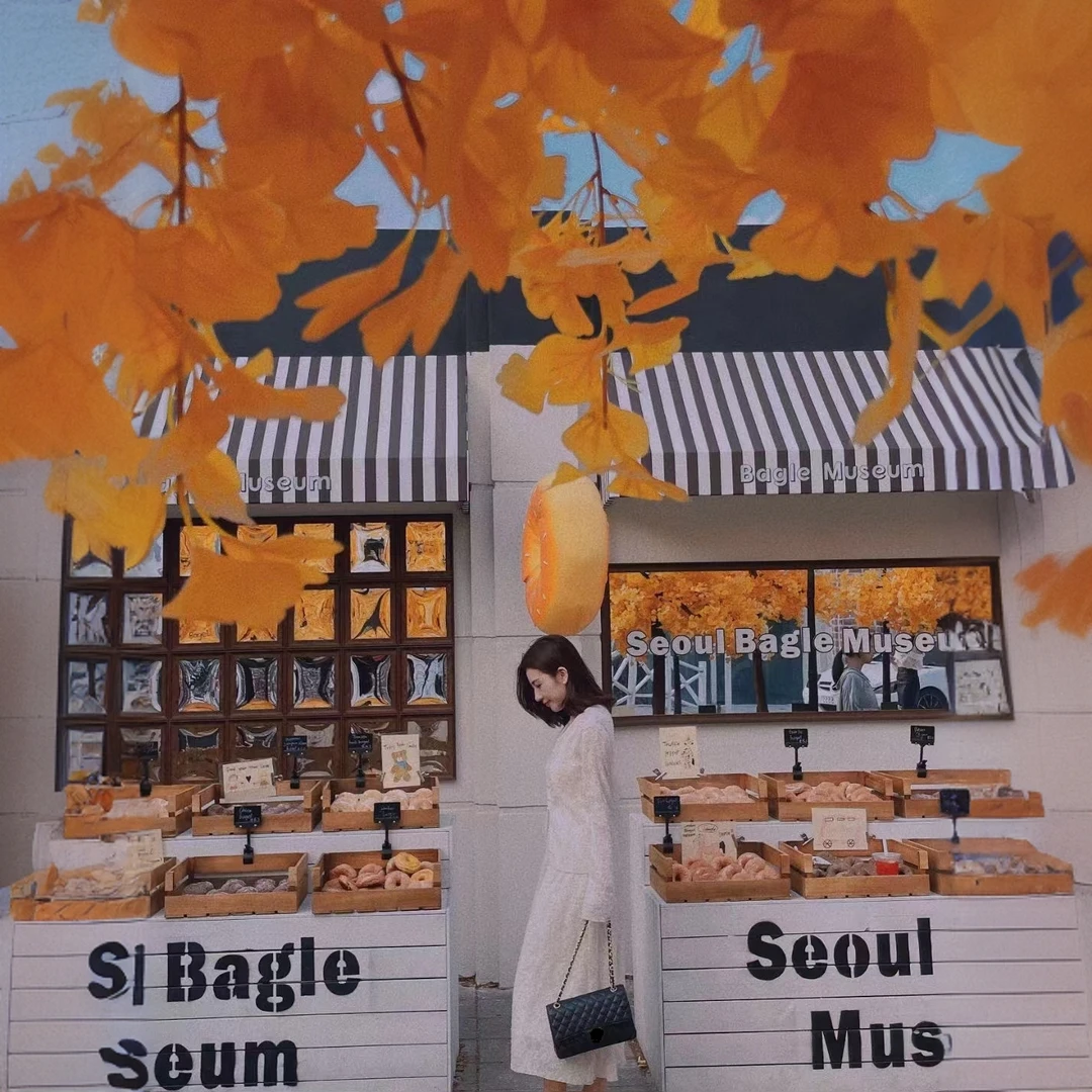 【ViVi推荐】leboy经典高端定制单肩手拎女士包包