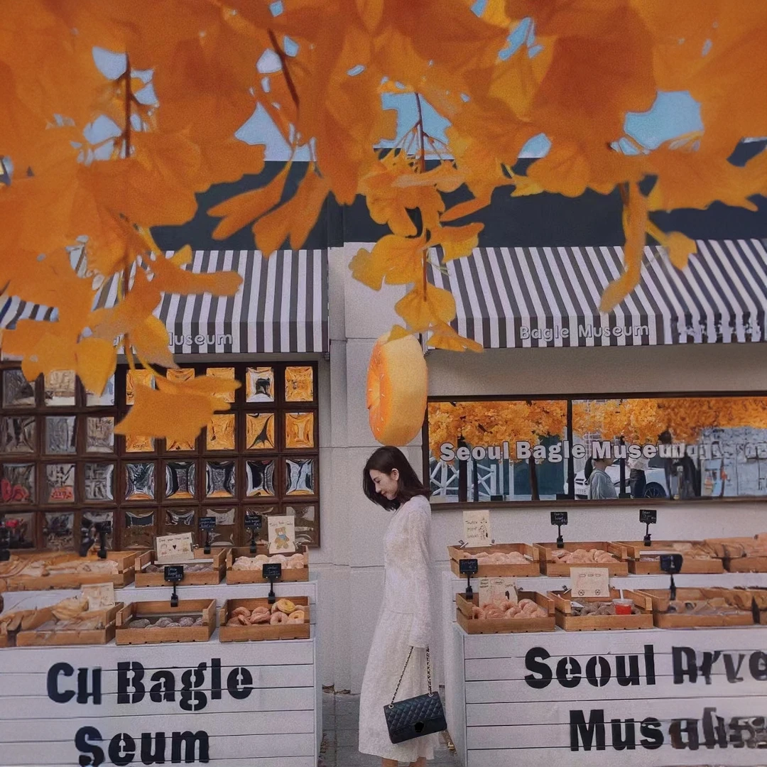 【ViVi推荐】3店敢豆款经典高端定制单肩手拎女士包包