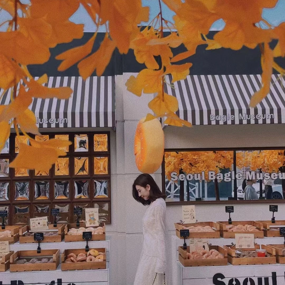 【ViVi推荐】D家999正装口红款经典高端定制单肩手拎女士包包