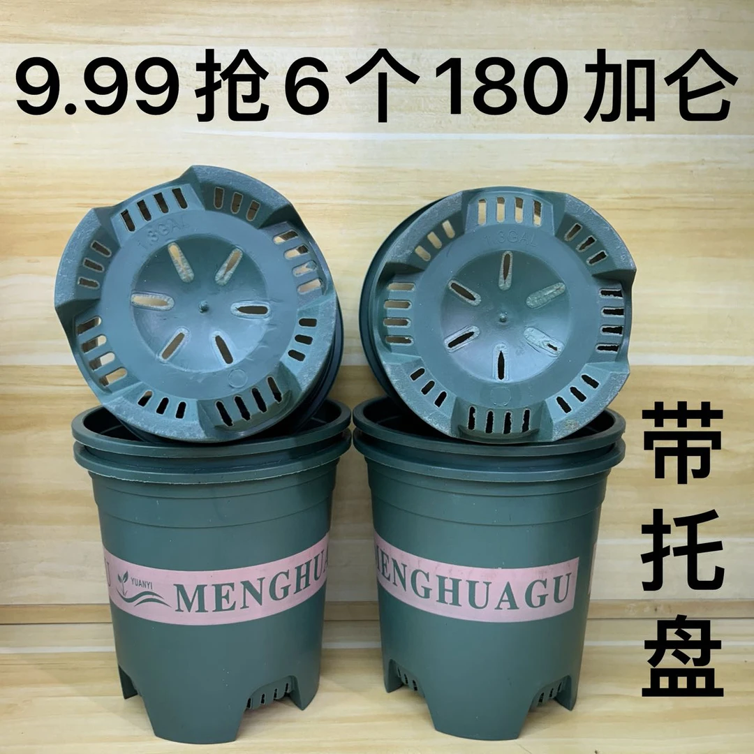 6个（口径17.5高17.5）180加仑花盆带托盘