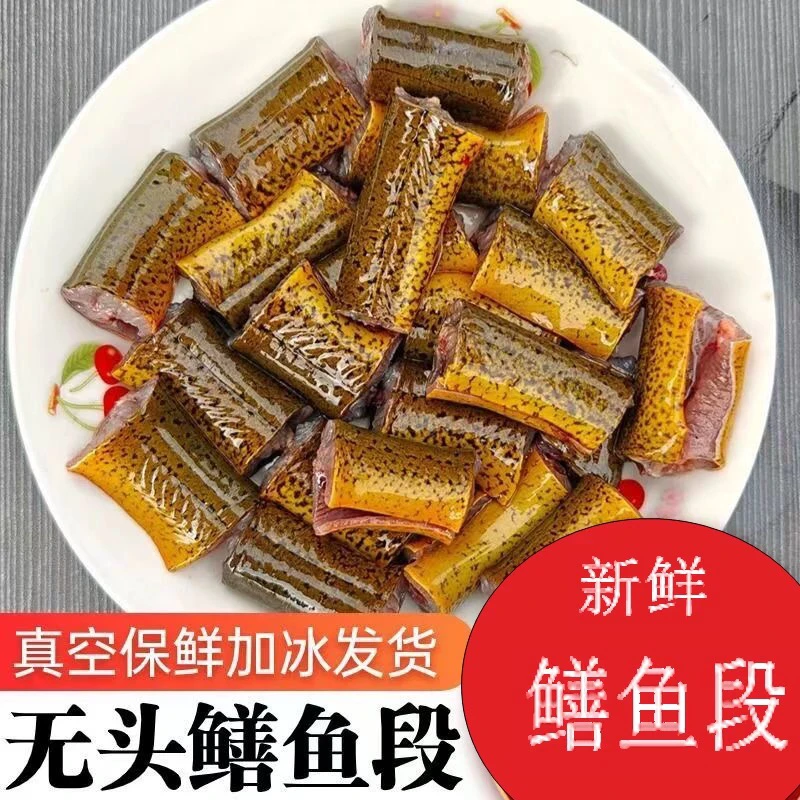 新鲜土黄鳝鱼段真空去头去内脏带骨鳝鱼段鲜活现杀鳝鱼段炖骨煲汤