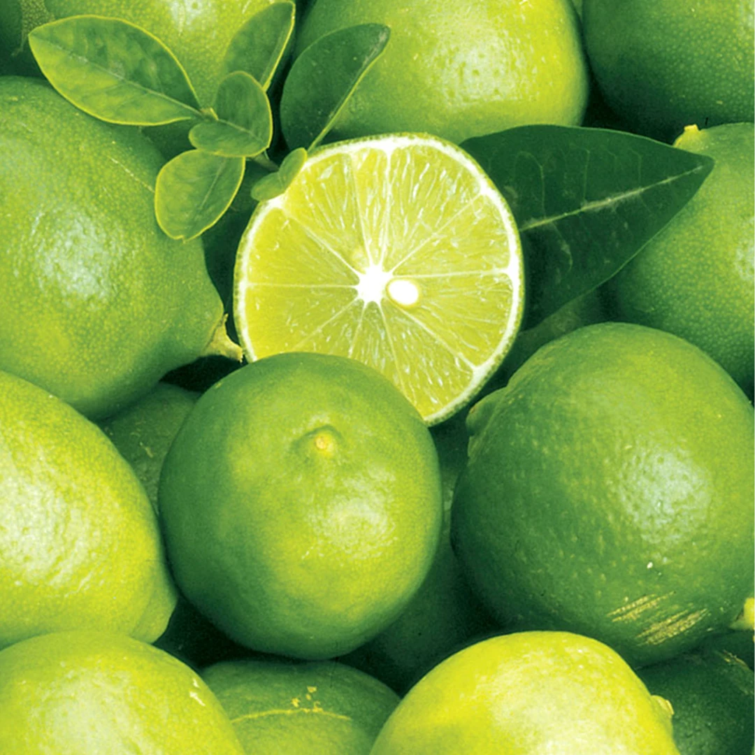 云南澜沧农户自家种植青柠檬酸酸甜甜做果汁