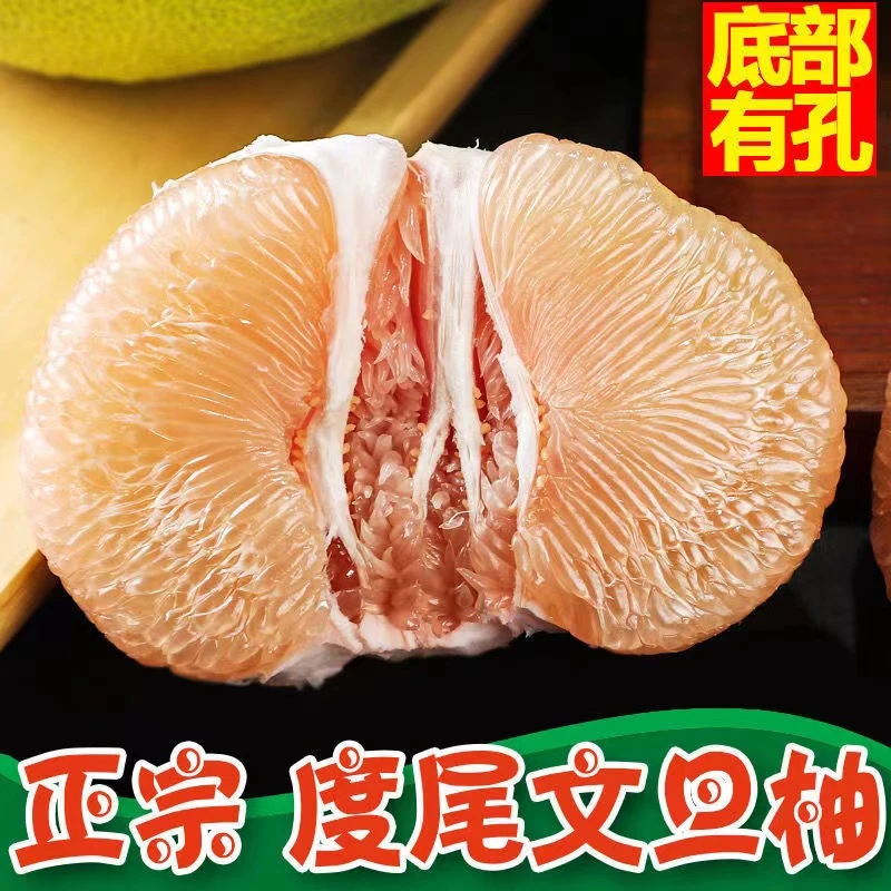 【有洞】正宗福建仙游度尾文旦柚红心蜜柚当季现摘新鲜水果