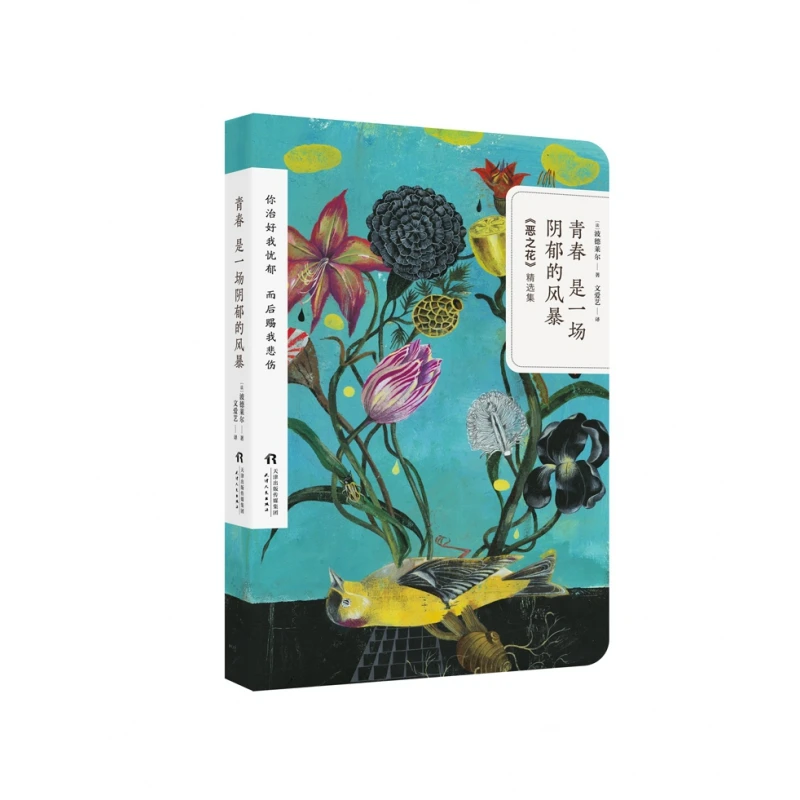 博库 青春是一场阴郁的风暴 书籍 正版图书推荐 天津人民出版社