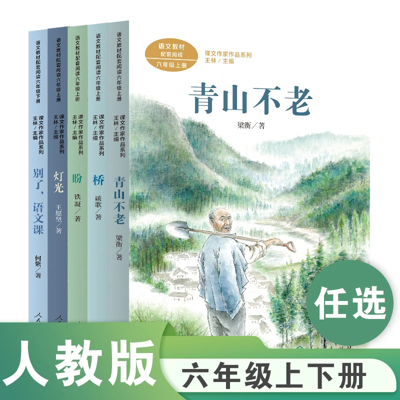 课文作家作品系列六年级上下册别了语文课青山不老竹节人灯光桥盼