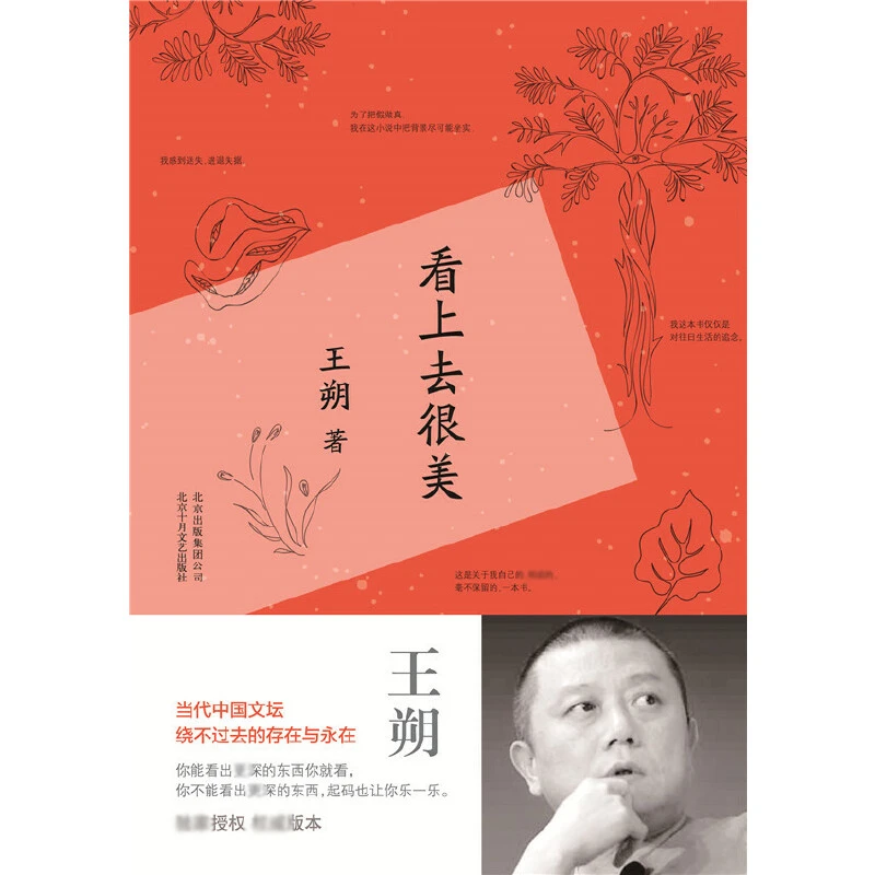 博库 看上去很美(精) 书籍 正版图书推荐 北京十月文艺出版社