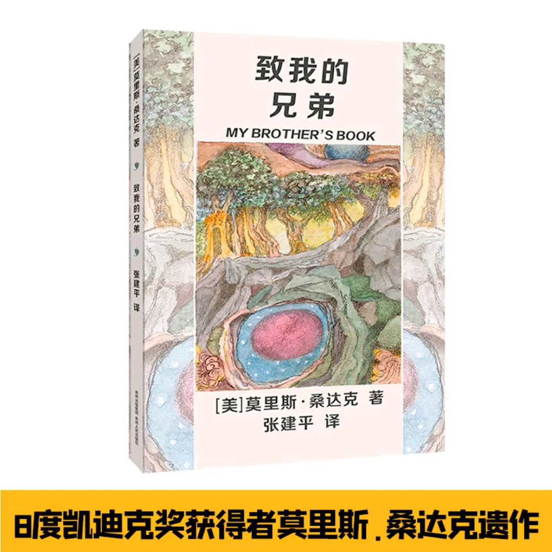 博库 致我的兄弟 书籍 正版图书推荐 贵州人民出版社