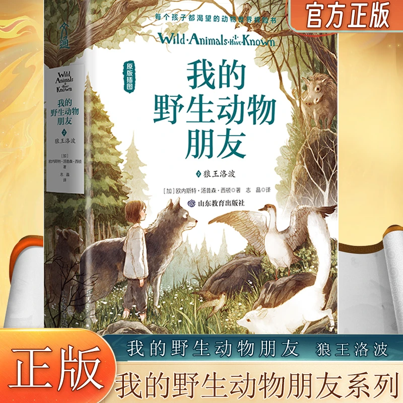 我的野生动物朋友 狼王洛波 原版插图动物世界探索类书籍 正版