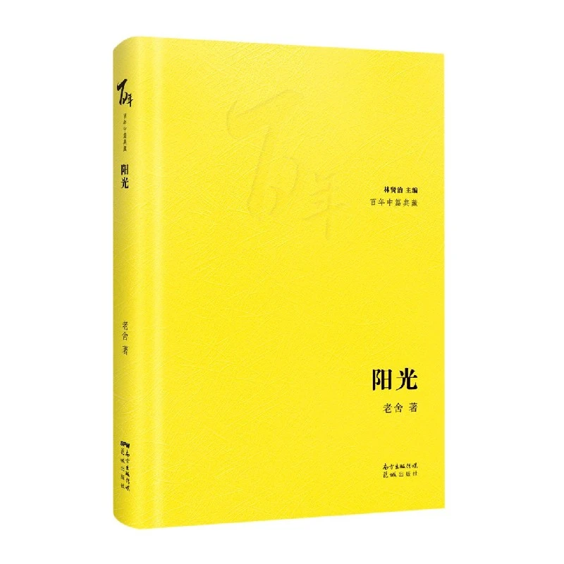 博库 阳光 书籍 正版图书推荐 花城出版社