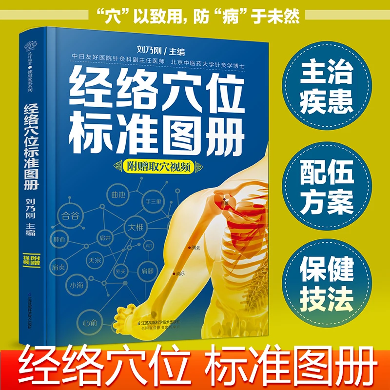 经络穴位标准图册 中医推拿按摩书养生书籍大全养生书籍人体经络