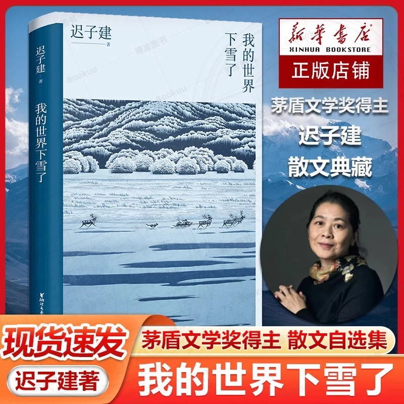 博库 我的世界下雪了 书籍 正版图书推荐 浙江文艺出版社