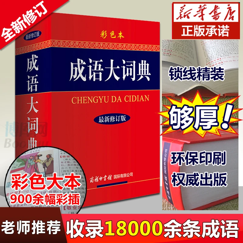2024新版成语大词典 彩色本修订本 学生专用成语辞典大全汉语成语