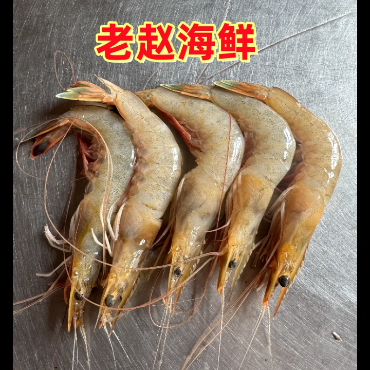 【野生海虾黄梢虾 斑马虾 虎皮虾干冰发货】渤海湾 虾以实物为准