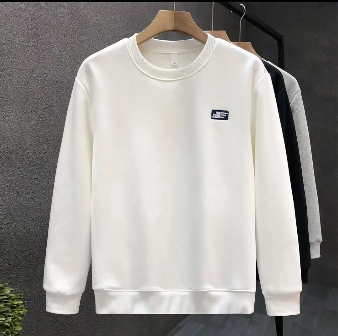 1206男士冬季新款简约百搭刺绣加绒长袖圆领卫衣