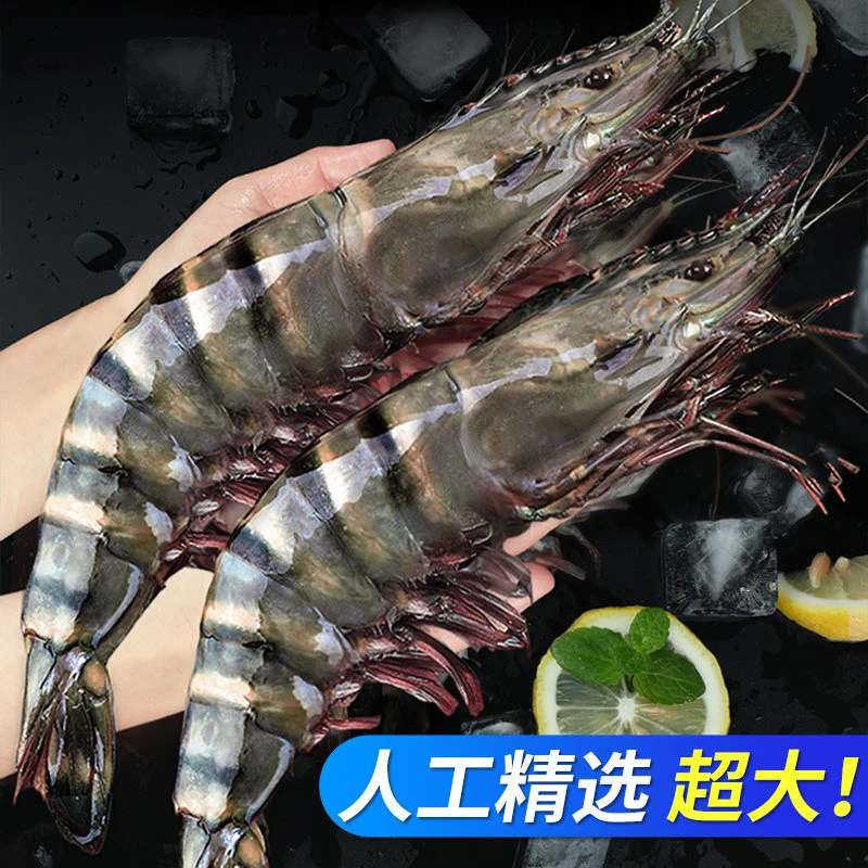 黑虎虾鲜活超大新鲜大虾对虾基围虾斑九节虾海虾活虾速冻海鲜水产