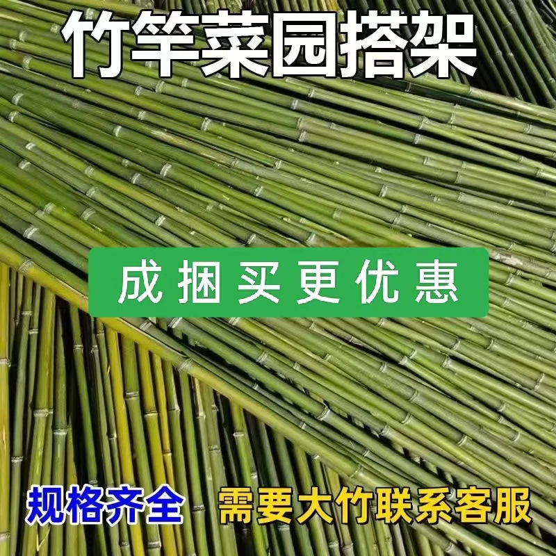菜园搭架竹杆豆角黄瓜爬藤架园艺篱笆围栏旗杆竹竿瓜果爬藤架支撑