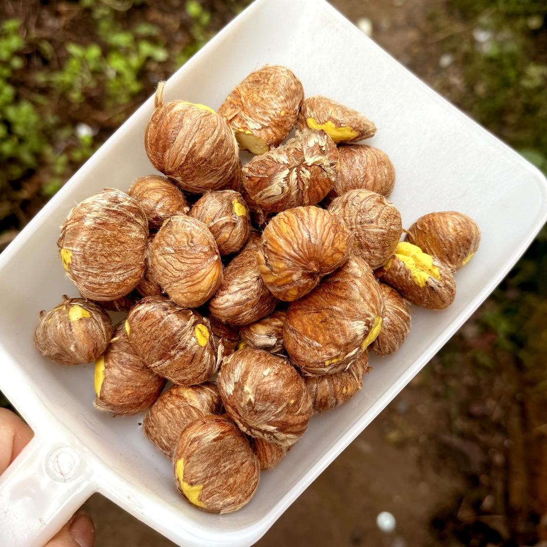 【去壳油板栗仁】金寨板栗仁新鲜纯手工去壳板栗现剥现发毛栗子一斤