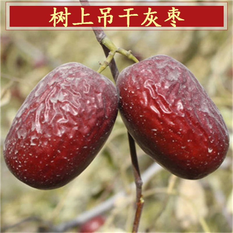 新货新疆特产树上吊干灰枣大颗粒清甜软糯没洗没加工带土500g