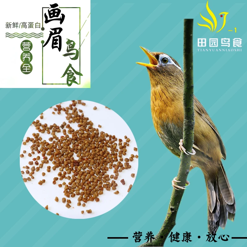 精品画眉专用营养日用食养身壮膘提性益生元增色颗粒松散易消化