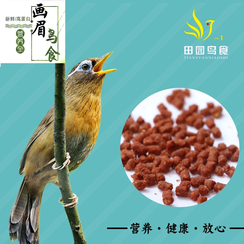 精品画眉专用食高蛋白专用营养日用食养身壮膘提性增色颗粒松散