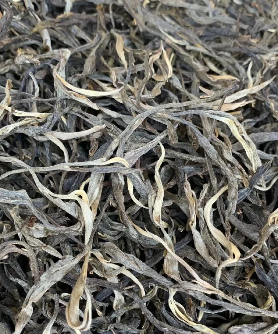 【普洱生茶】2023年冰岛老寨古树头春散料生茶