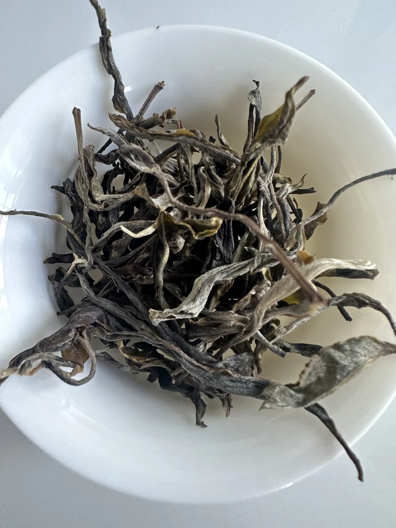 2025年冰岛茶区坡脚古树秋茶散料古树普洱生茶