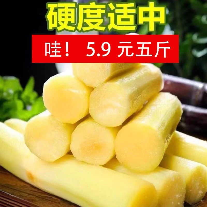 广西农家黑皮甘蔗当季水果新鲜整箱9斤特产脆甜柑果蔗整箱现货