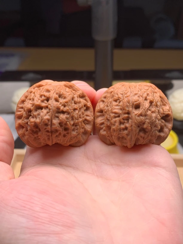 老树平谷骰子血麒麟