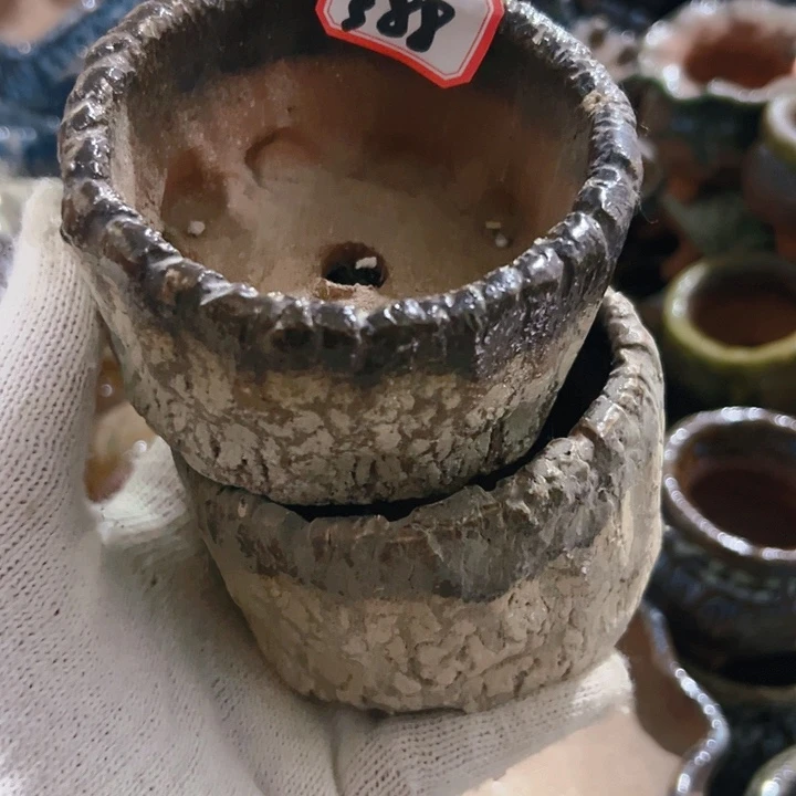 红陶20CM（含）-50CM（不含）