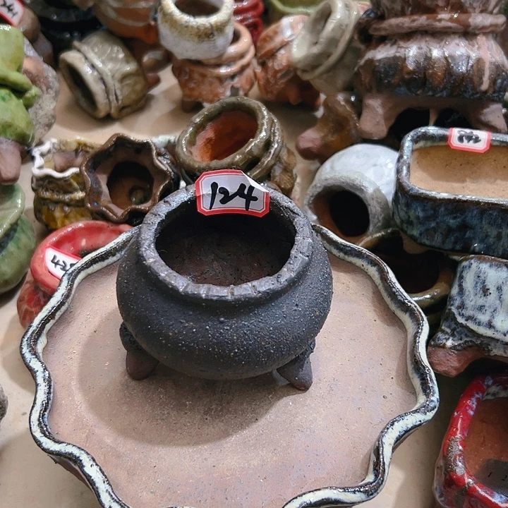 红陶20CM(含)-50CM(不含)
