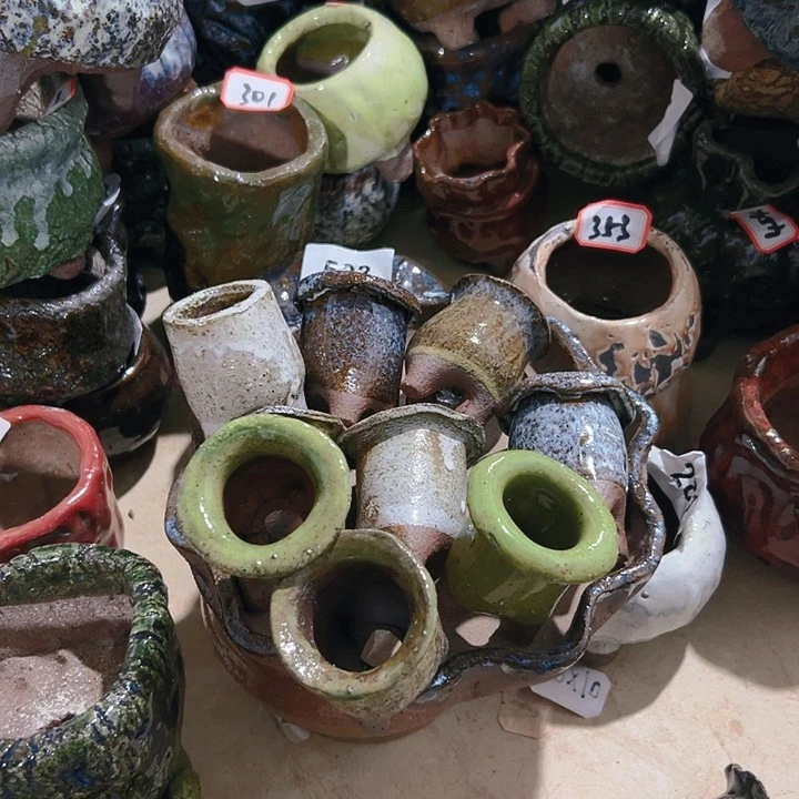 红陶20CM（含）-50CM（不含）自**观