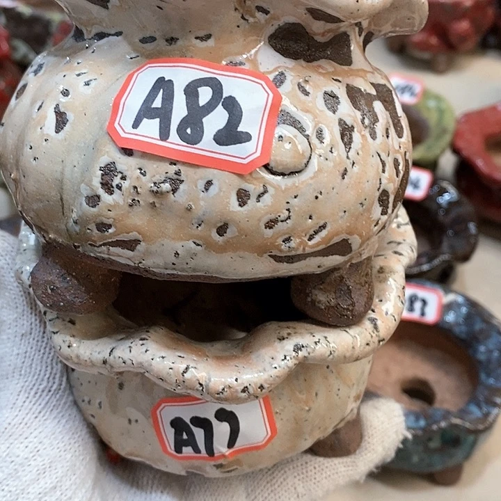 红陶20CM（含）-50CM（不含）舒*